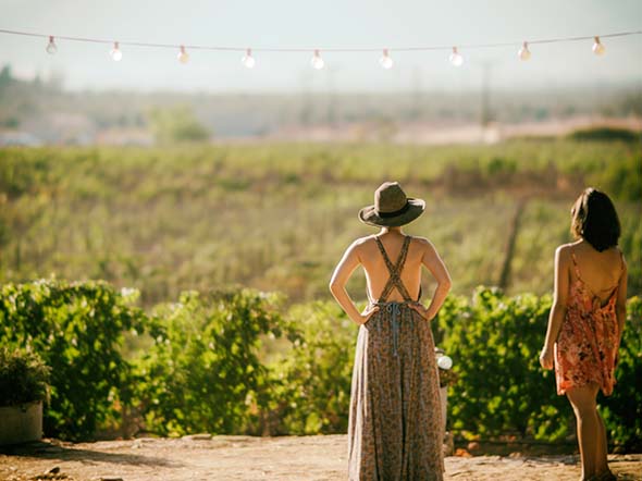 The wineries of the Algarve and the wine tastings of the region.